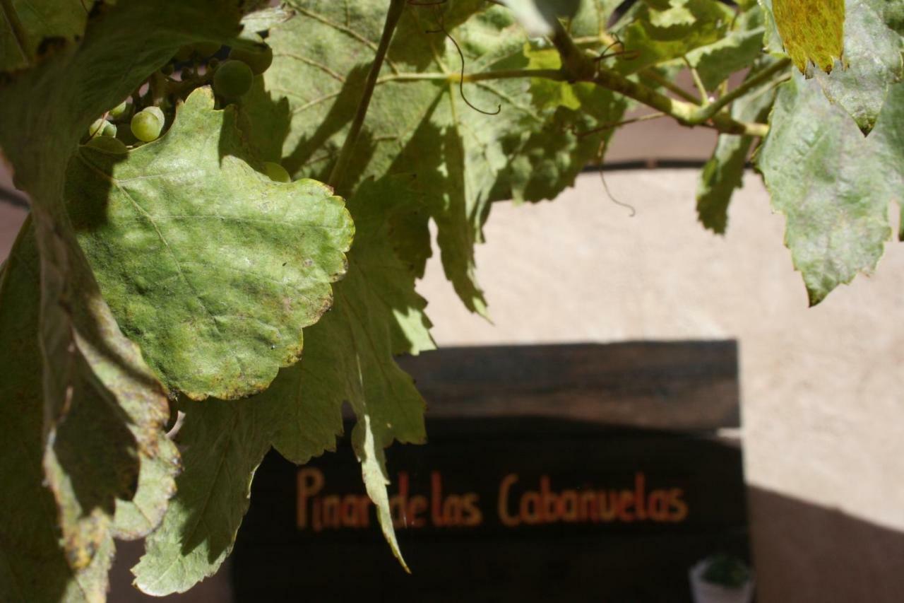 Pinar De Las Cabanuelas Villanueva de Duero Exteriér fotografie